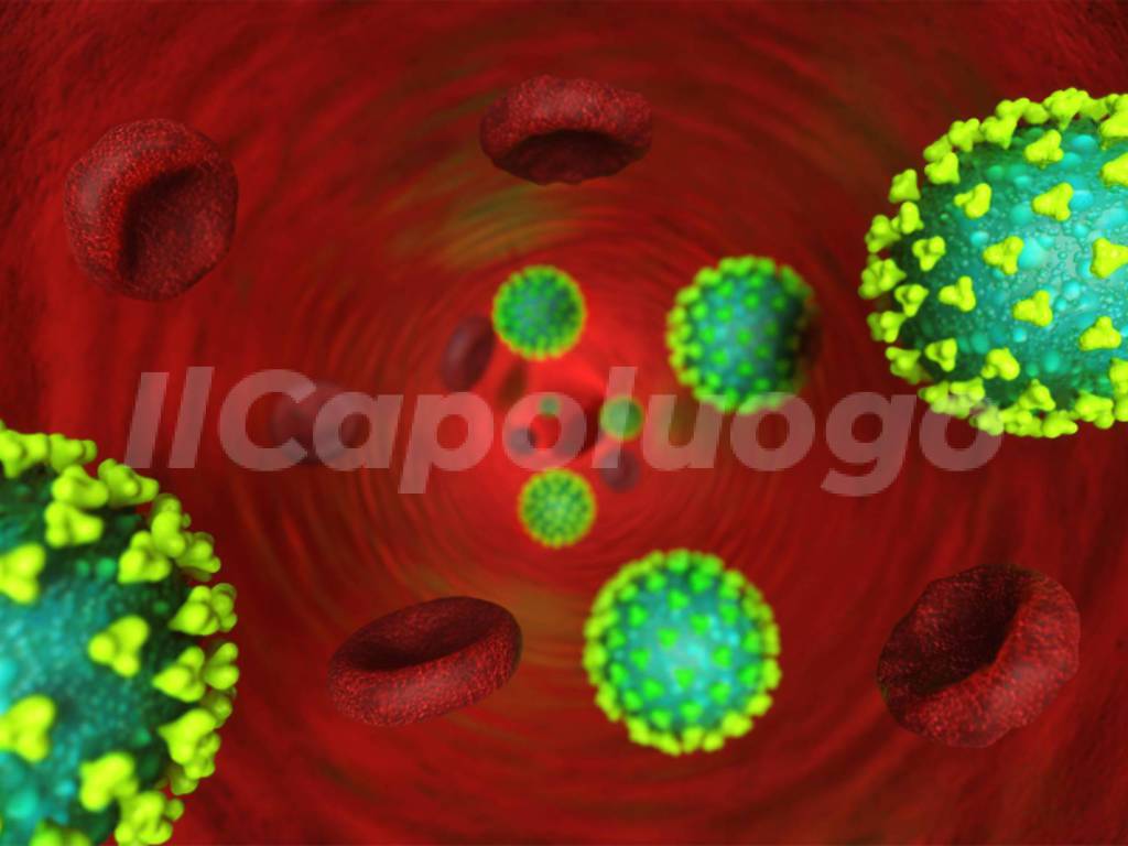 coronavirus