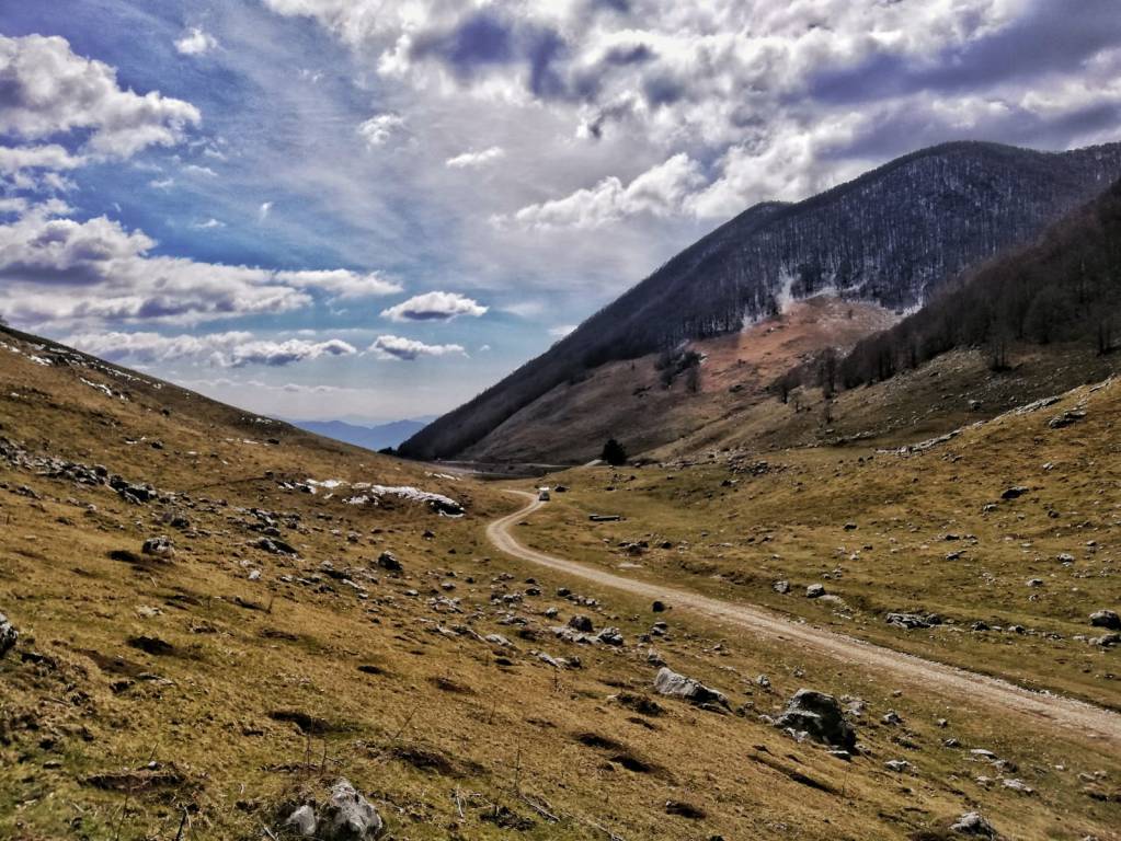 Parco Nazionale d'Abruzzo, Lazio e Molise