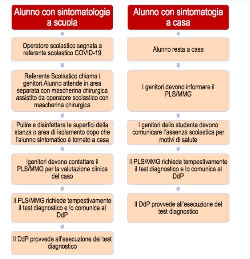 covid procedure scuola