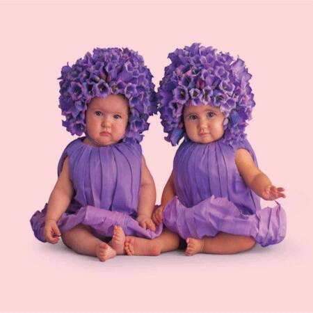 bimbi viola anne geddes 