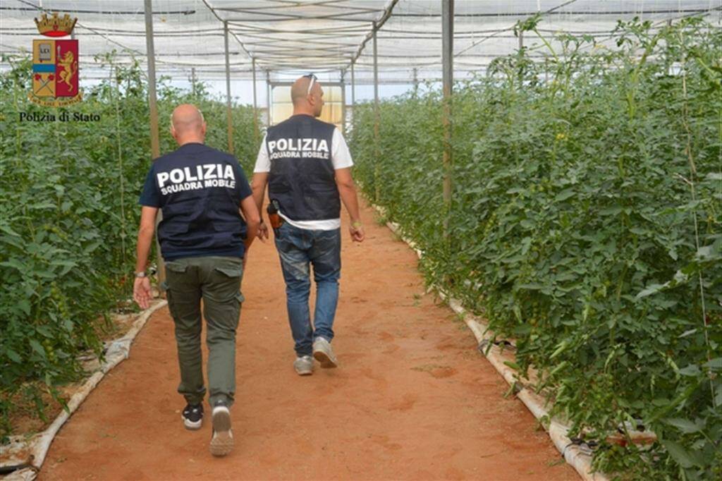 controlli aziende agricole polizia fucino