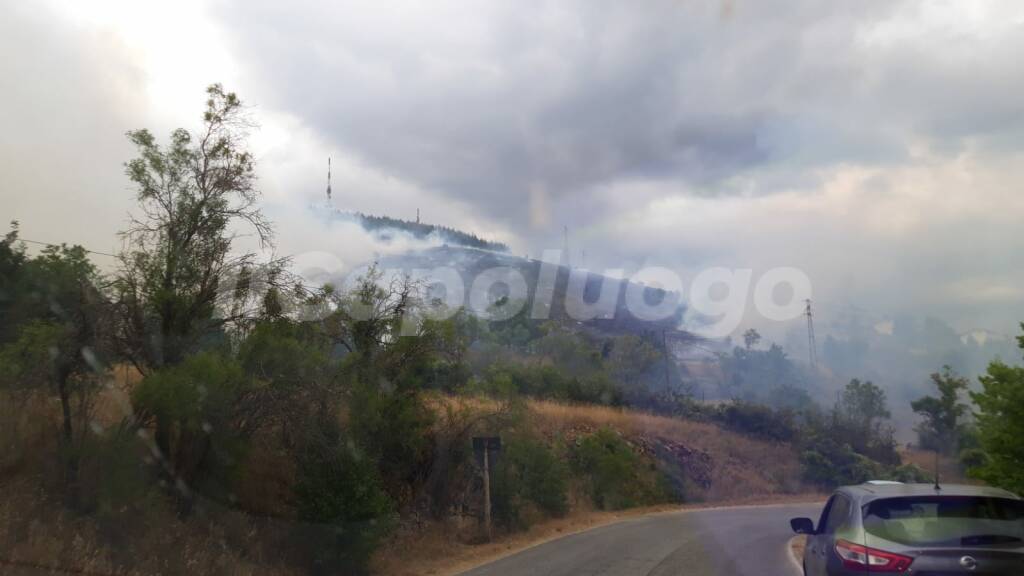 incendio pineta roio poggio