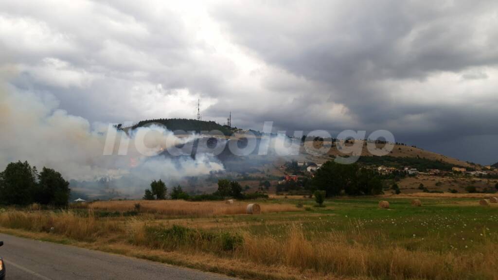 incendio pineta roio poggio