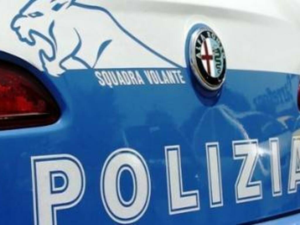 squadra volante, polizia 