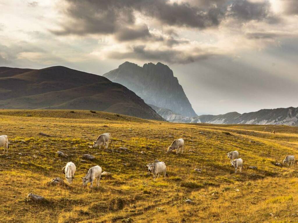 nova eroica gran sasso