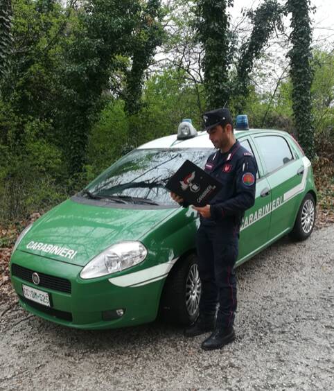 carabinieri forestali