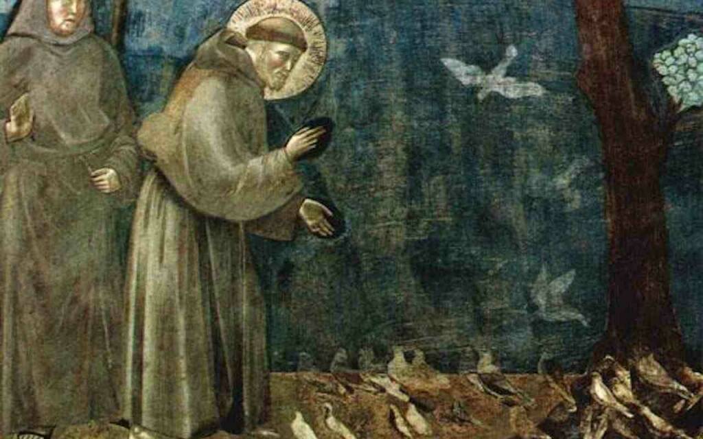 san francesco d'assisi tutti i santi giorni