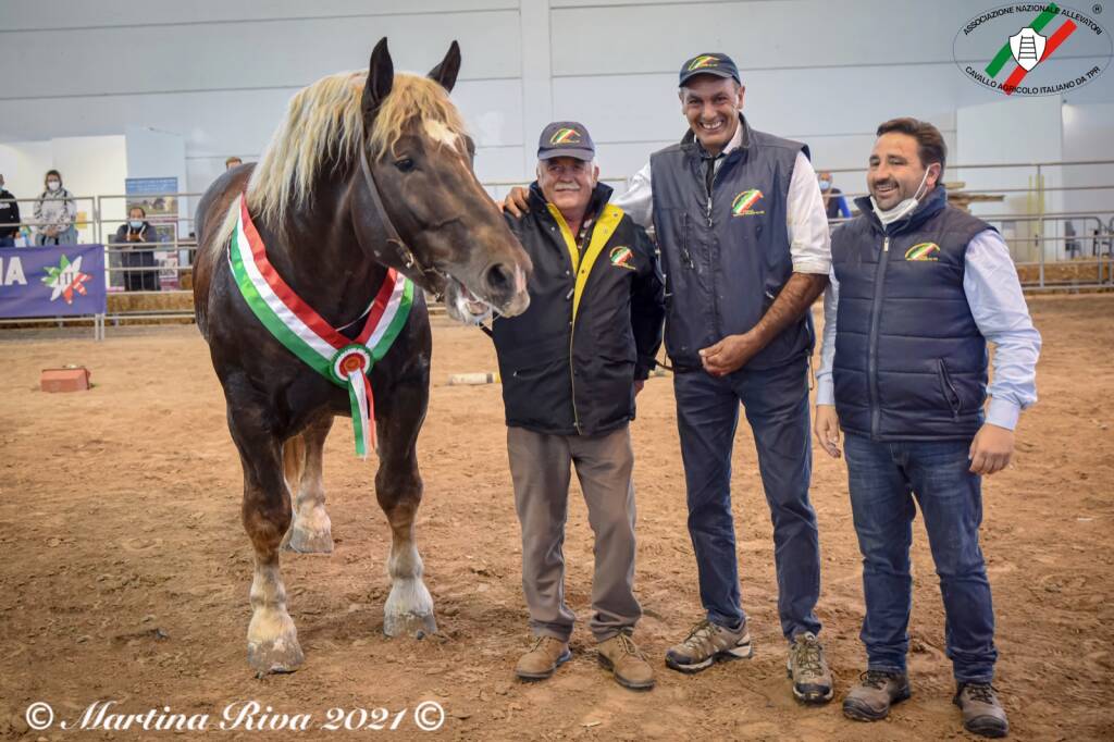 fieracavalli di verona 2022