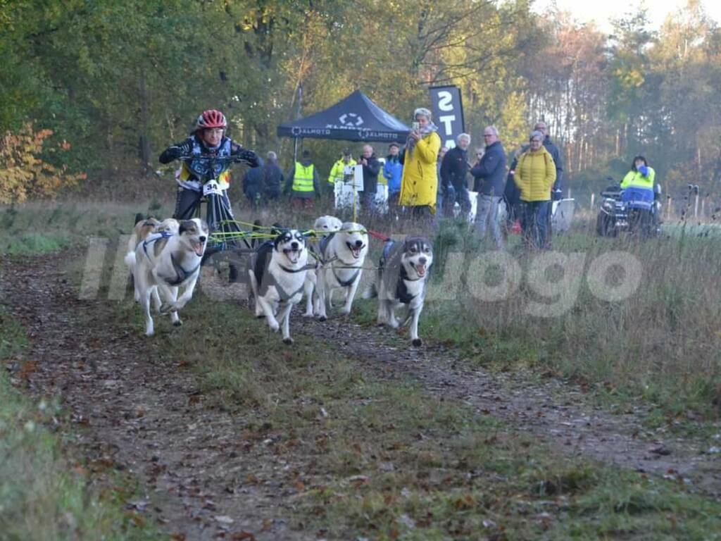 sleddog olivia piacentini e fabrizio filoni mondiali dryland