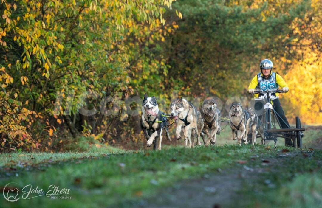 sleddog olivia piacentini e fabrizio filoni mondiali dryland