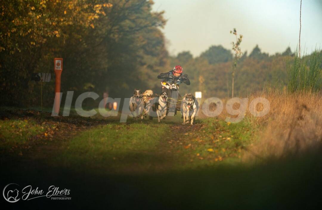 sleddog olivia piacentini e fabrizio filoni mondiali dryland