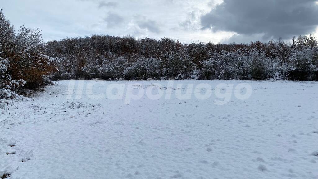 neve campana Fagnano alto