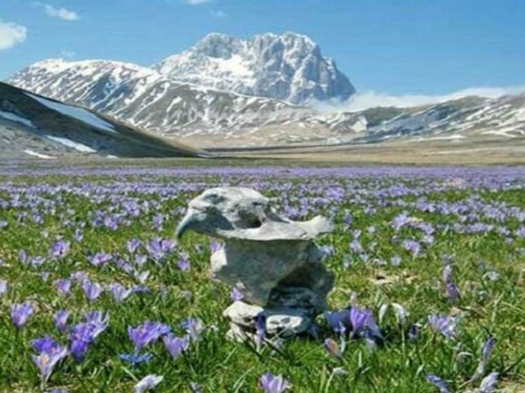 gal, gran sasso velino, portale 