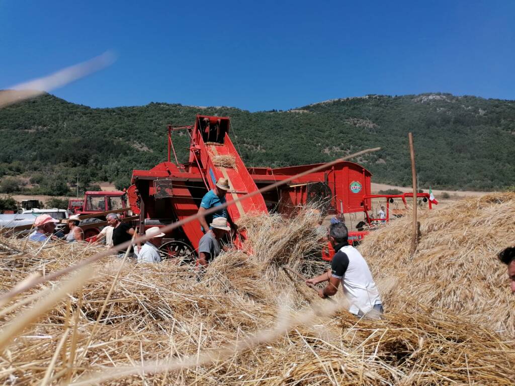 festa della trebbiatura aragno collebrincioni