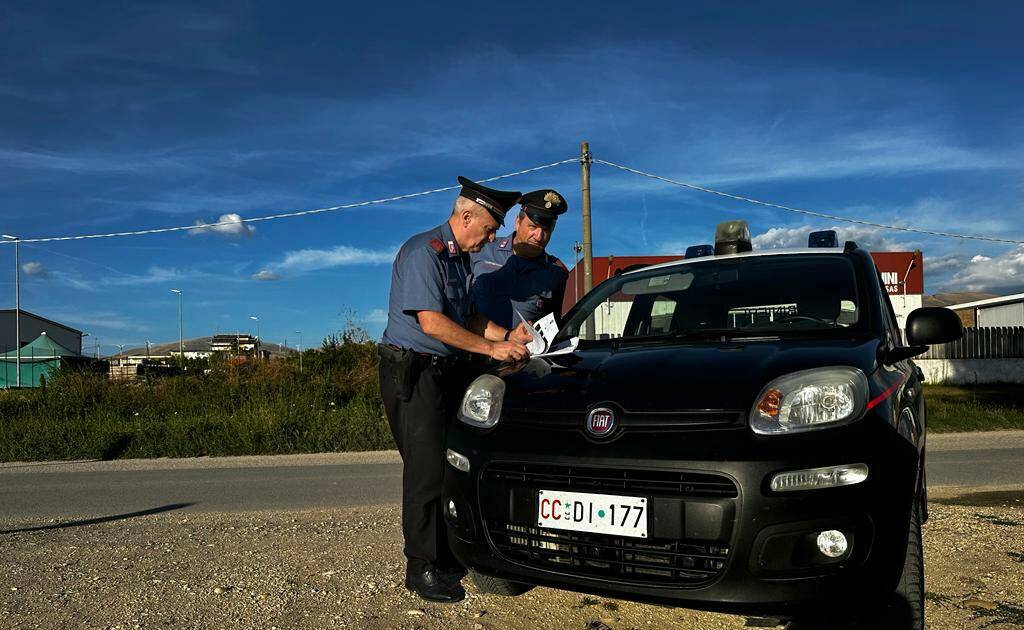 carabinieri controlli cuccioli orsa amarena san benedetto dei marsi