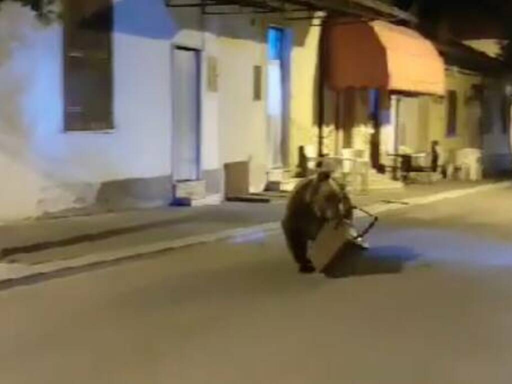 orso lecce nei marsi