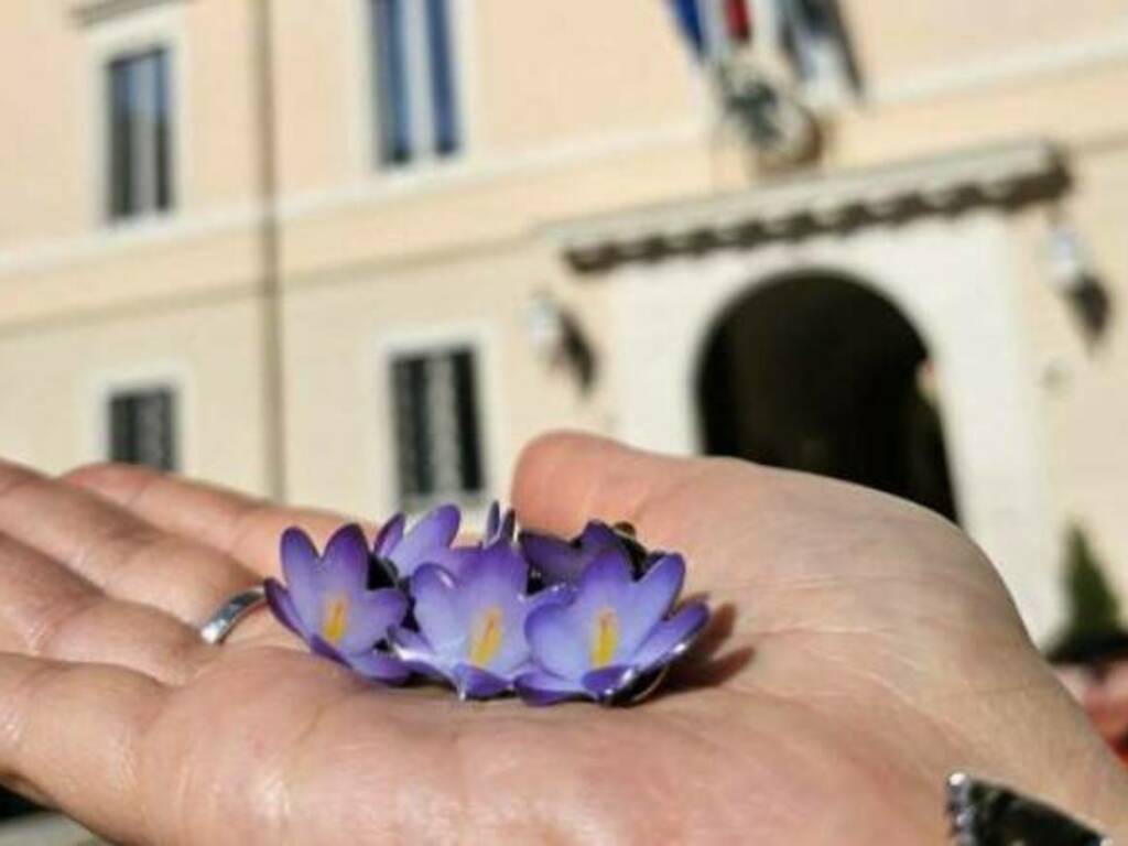 terremoto l'aquila fiore della memoria