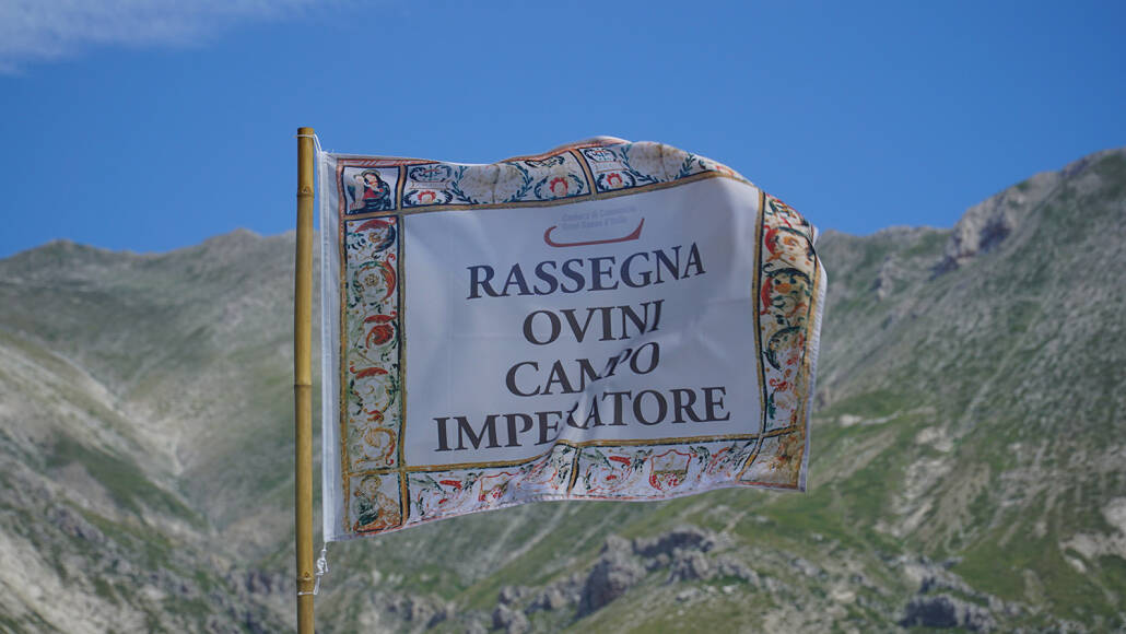 rassegna ovini campo imperatore