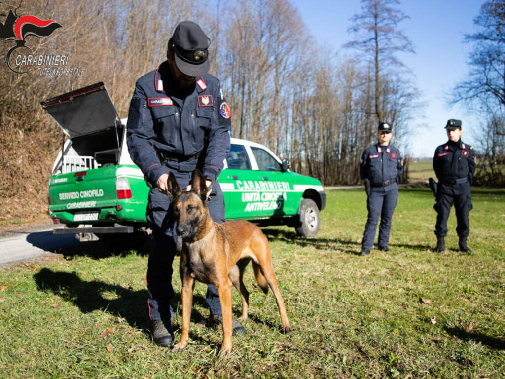 forestali provincia laquila