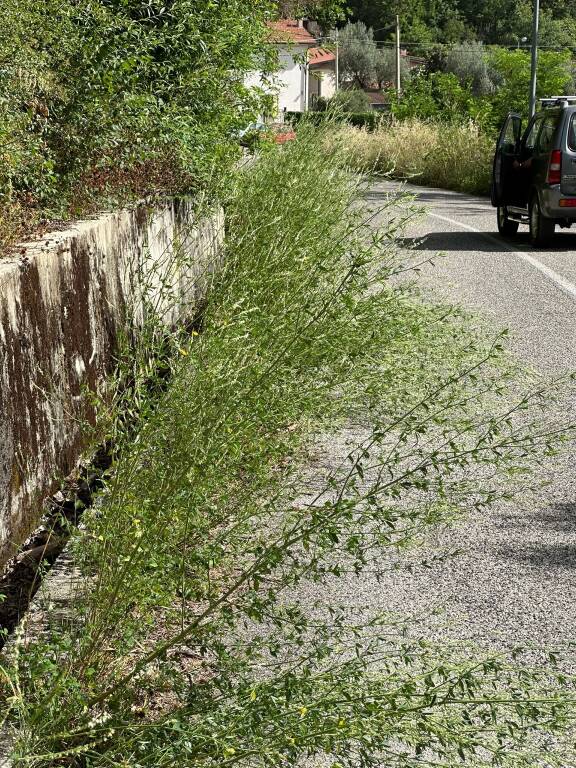 strada provinciale Castronovo Rendinara