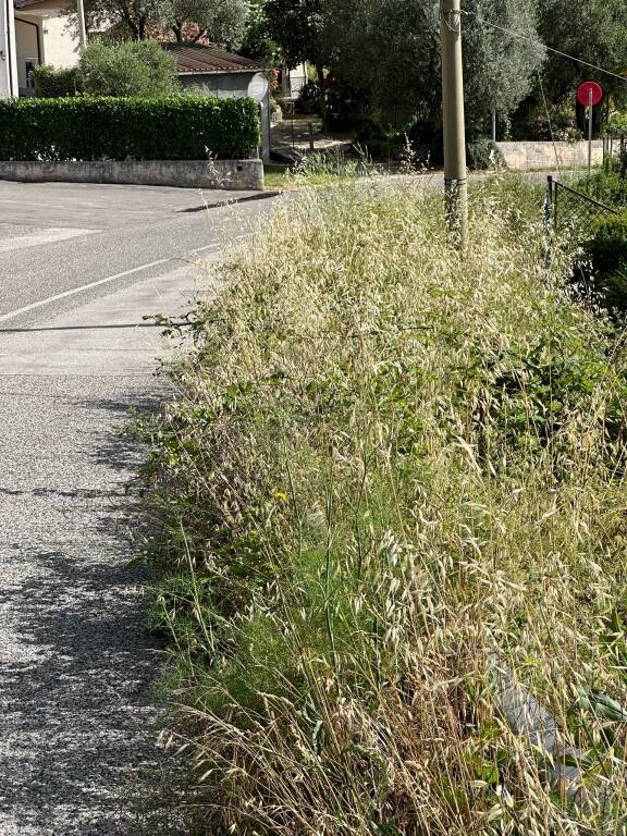 strada provinciale Castronovo Rendinara