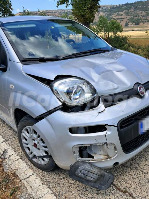 incidente auto cervo statale 17