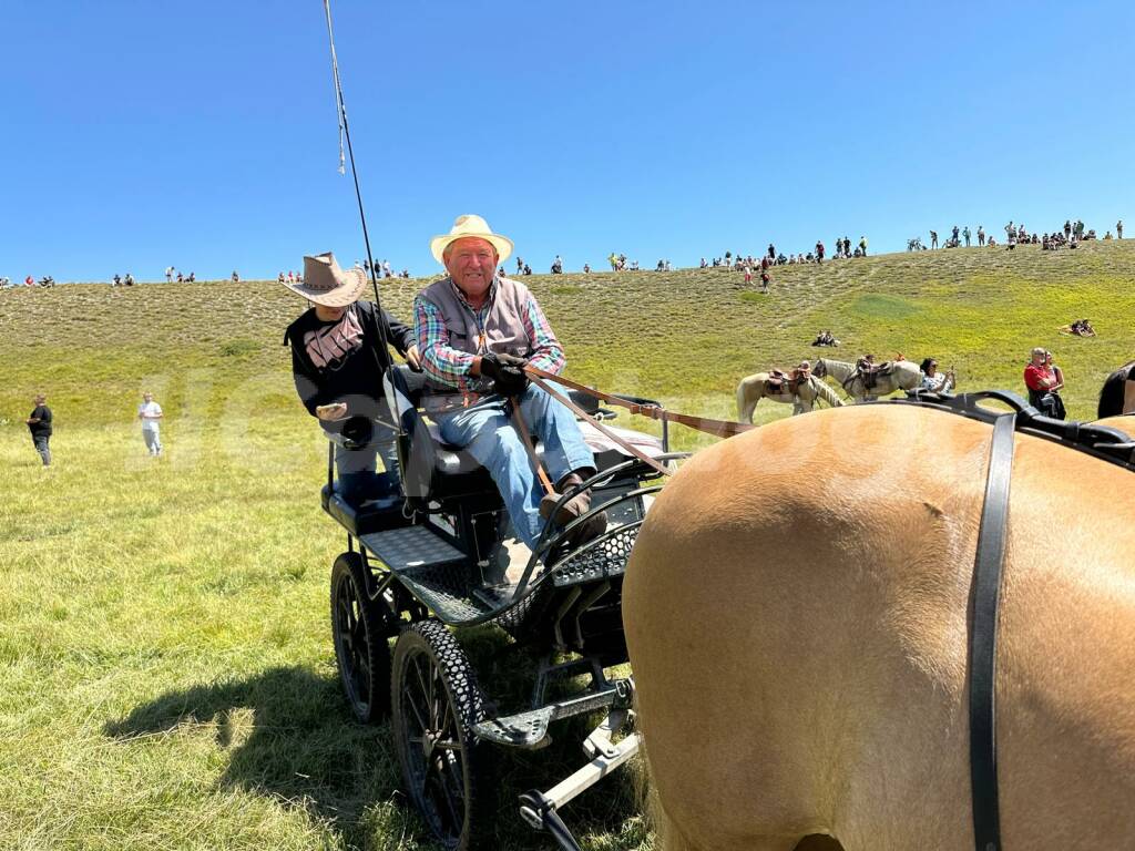 Rassegna ovini 2024 Campo Imperatore